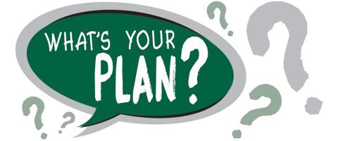 What's your plan?